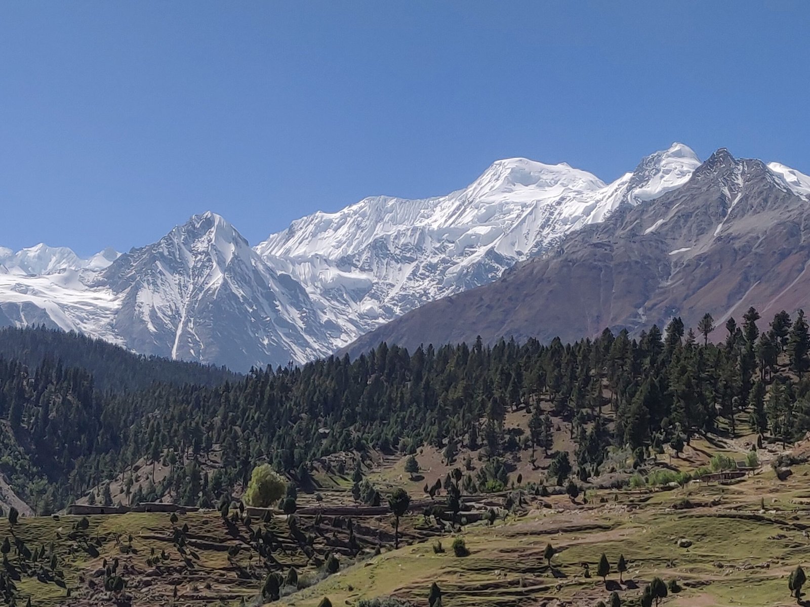 Snow-capped mountain range above a green valley in northern Pakistan